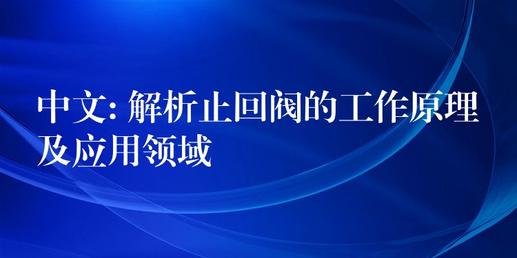 中文: 解析止回阀的工作原理及应用领域